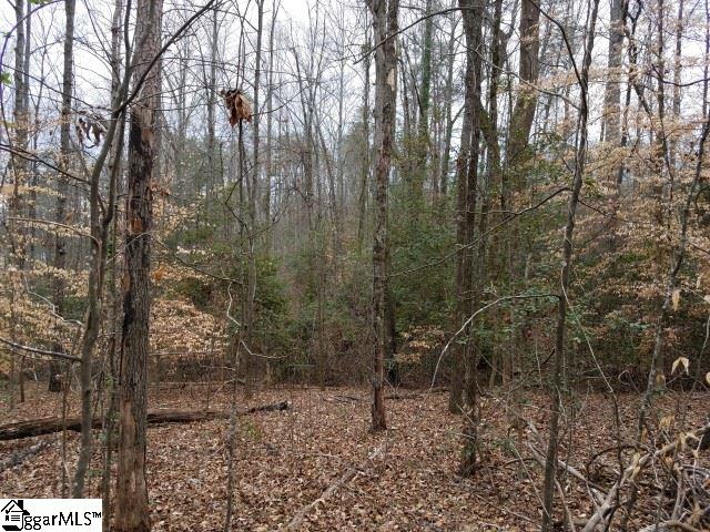 Snyder Road Easley, SC 29640 - Photo 2 of 10