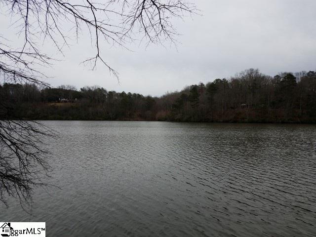 Snyder Road Easley, SC 29640 - Photo 4 of 10
