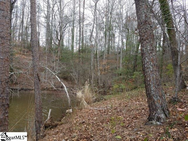 Snyder Road Easley, SC 29640 - Photo 10 of 10