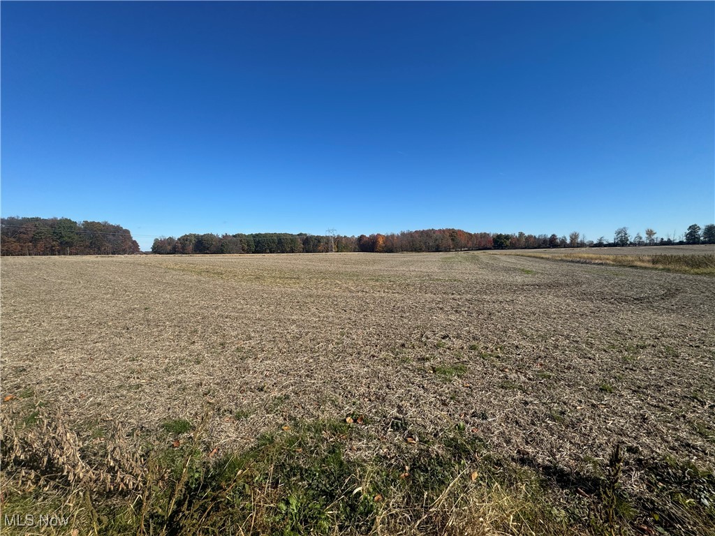 Spieth Road Medina, OH 44256 - Photo 29 of 34 View of landscape with a rural view