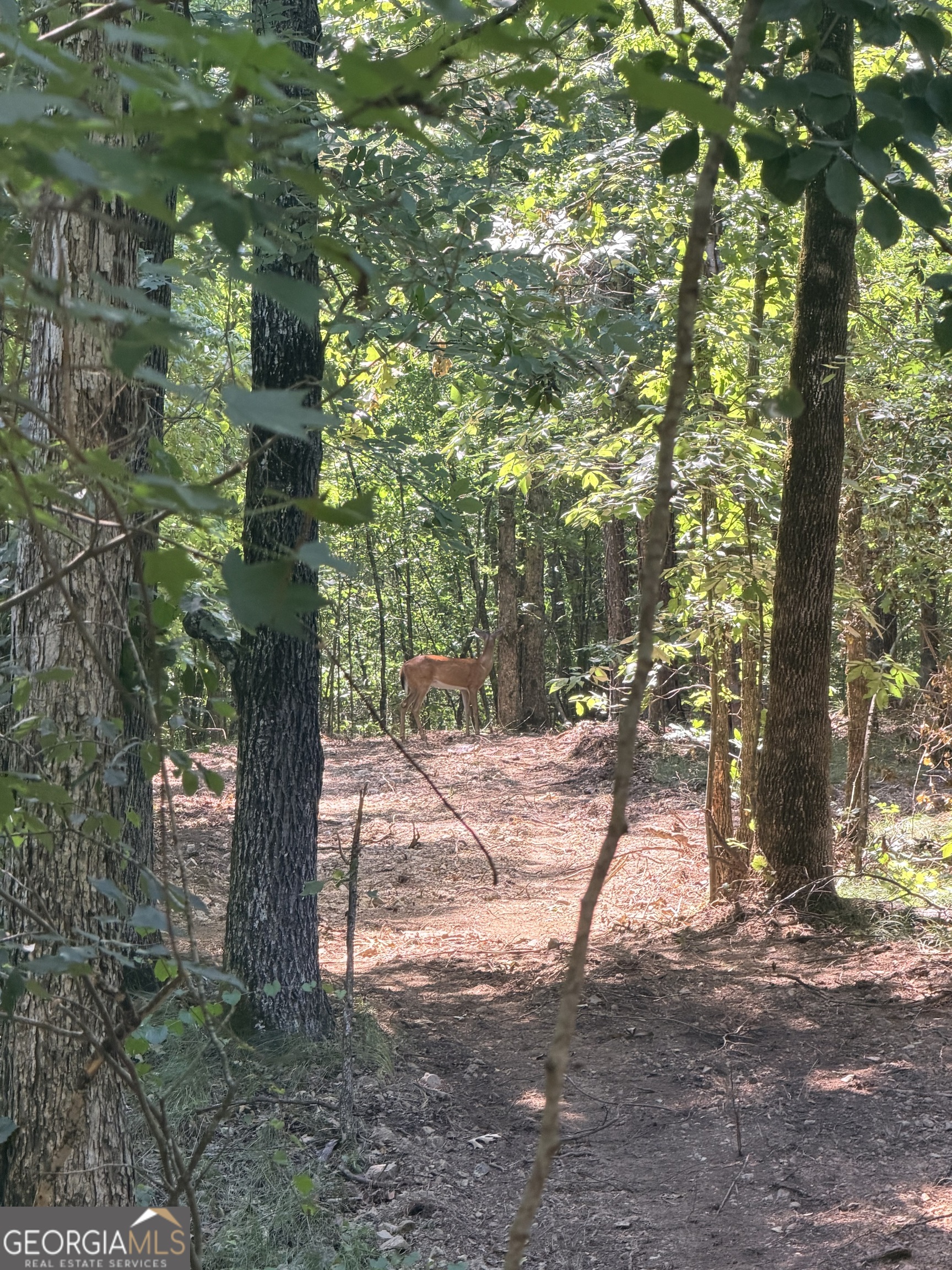 2 Bethesda Church Road Lexington, GA 30648 - Photo 67 of 73