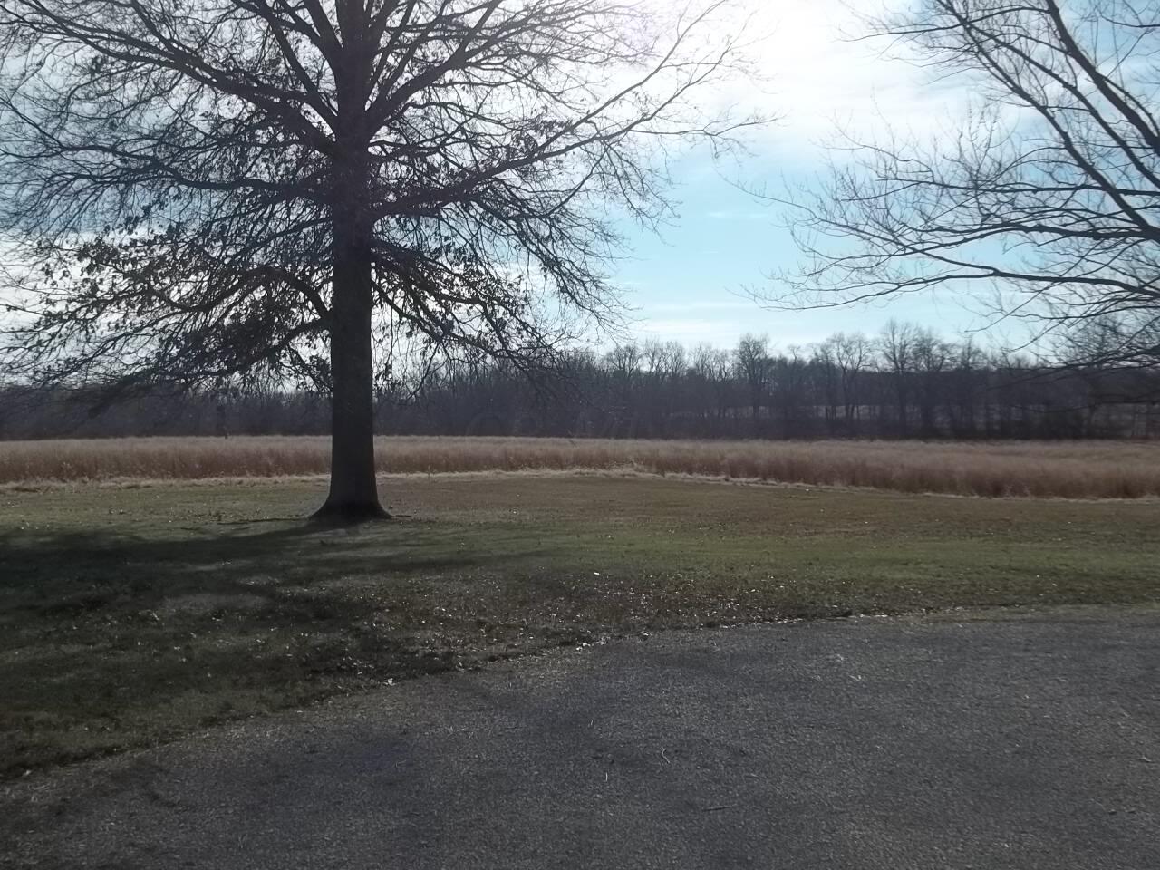 3619 Morral-Kirkpatrick Road West Morral, OH 43337 - Photo 29 of 31 100_2034