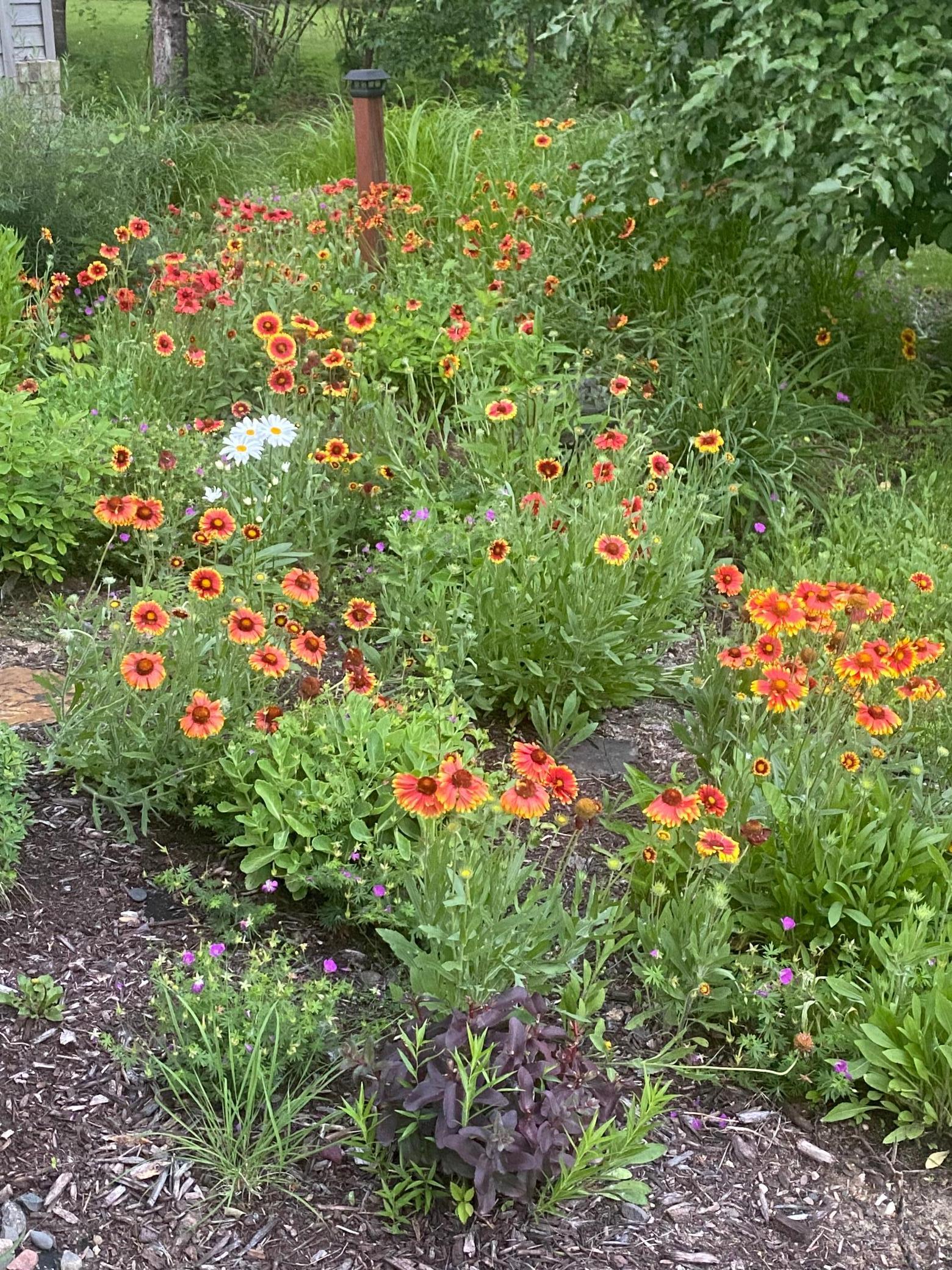 13400 295th Street Lindstrom, MN 55045 - Photo 49 of 54