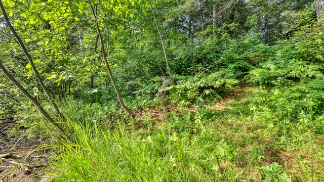 $159,000 | 7006 West Rapids Road, Lake Tomahawk, WI 54539