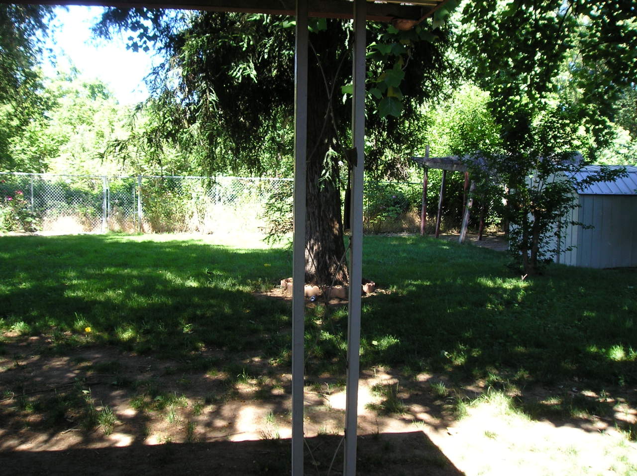 6768 Reflection Street Redding, CA 96001 - Photo 8 of 12 Rear