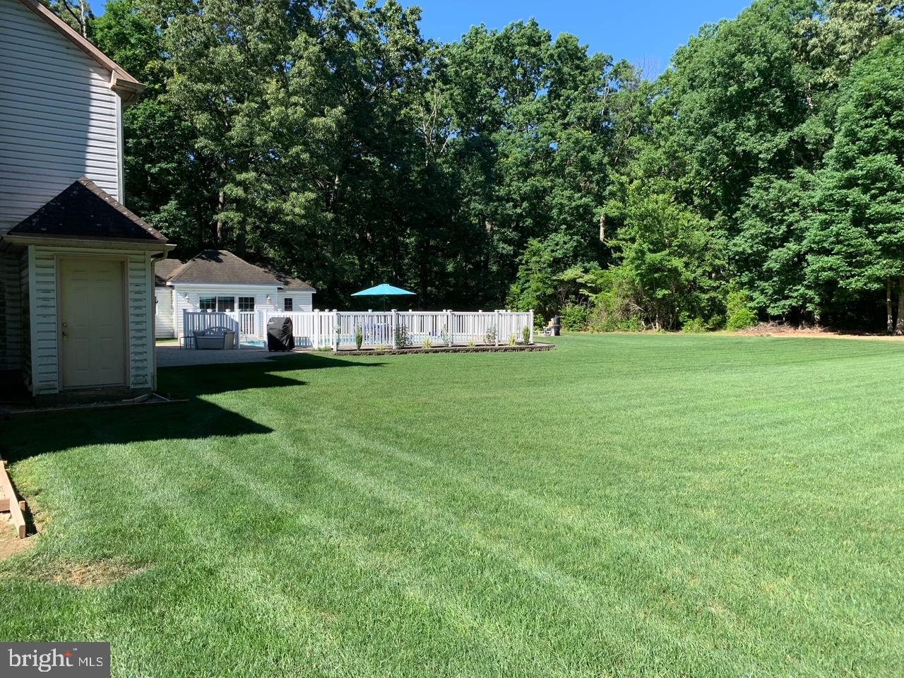 741 Buck Road Elmer, NJ 08318 - Photo 46 of 54