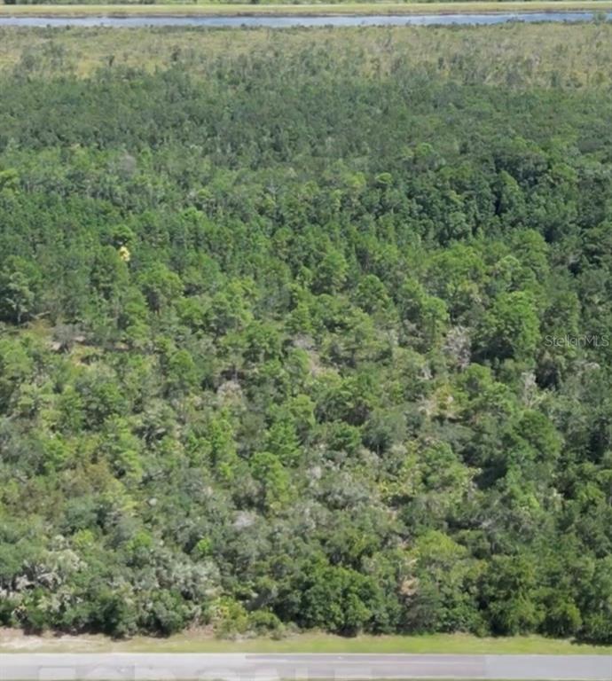 Fisher Road Ocklawaha, FL 32179 - Photo 8 of 10 Gallery Image 8