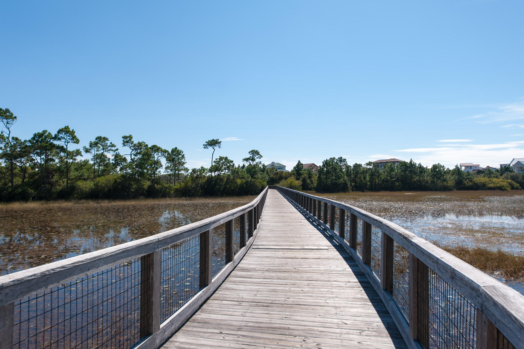 185 Anchor Rode Circle Watersound, FL 32459 - Photo 39 of 44 Gallery Image 39
