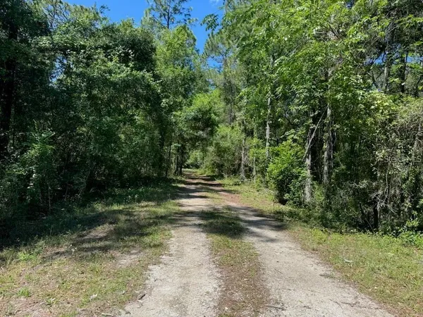 $30,000 | Citadel Drive, Webster, FL 33597