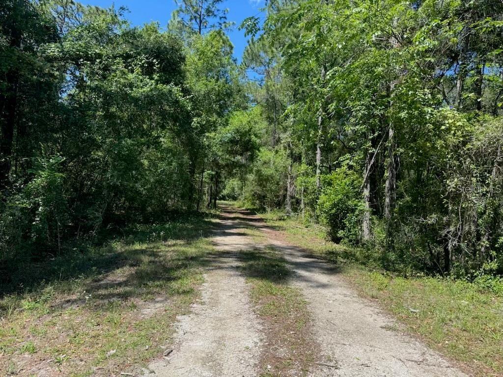 Citadel Drive Webster, FL 33597 - Photo 1 of 6