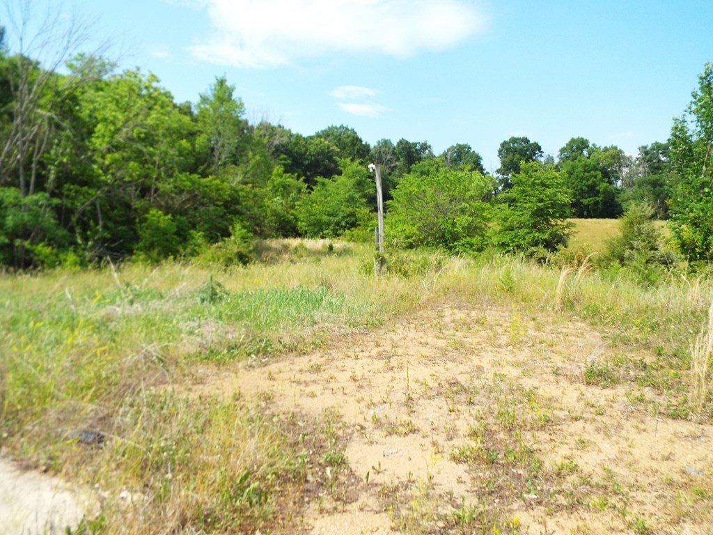 2598 South Wesley Chapel Road Greeneville, TN 37745 - Photo 11 of 17