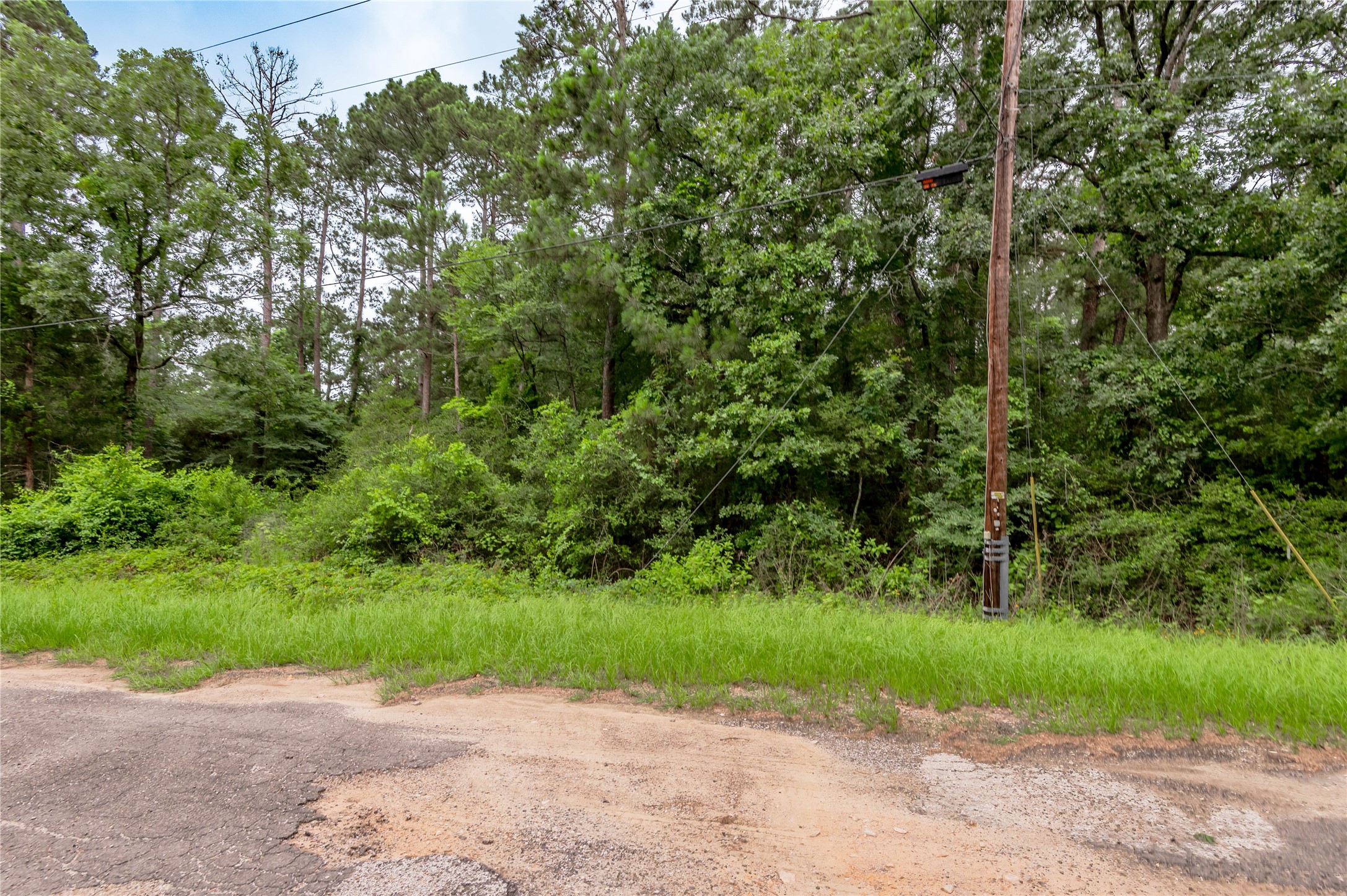 Lot 57 Post Oak Circle Trinity, TX 75862 - Photo 8 of 29