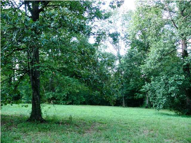 312 Ewtonville Ridge Road Dunlap, TN 37327 - Photo 11 of 36 Additional Photo