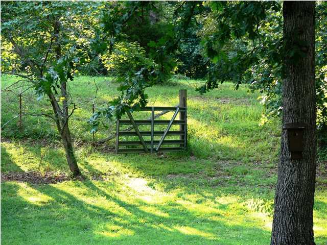 312 Ewtonville Ridge Road Dunlap, TN 37327 - Photo 13 of 36 Additional Photo