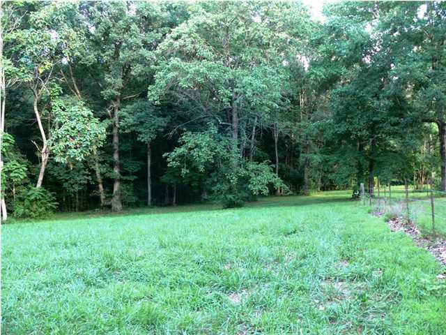 312 Ewtonville Ridge Road Dunlap, TN 37327 - Photo 8 of 36 Additional Photo