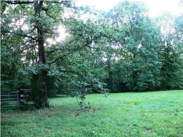 312 Ewtonville Ridge Road Dunlap, TN 37327 - Photo 9 of 36 Additional Photo