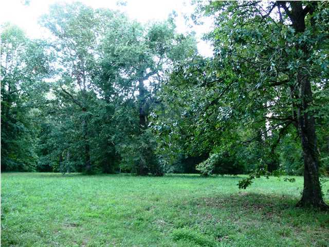 312 Ewtonville Ridge Road Dunlap, TN 37327 - Photo 10 of 36 Additional Photo
