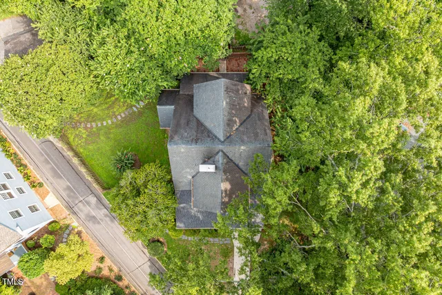a view of a garden with plants