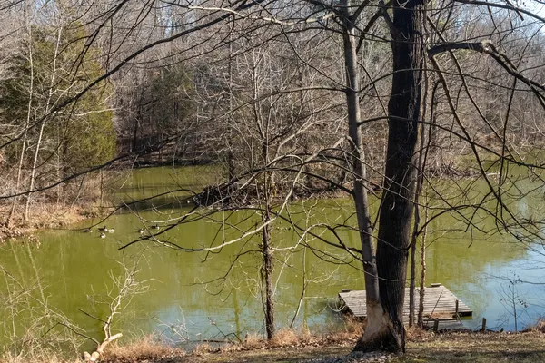 $450,000 | 88 Dakota Road, Carbondale, IL 62902