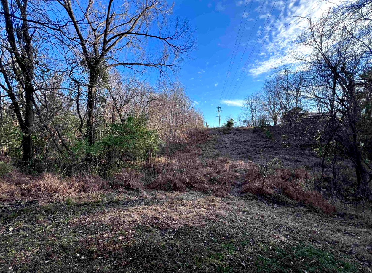 88 Dakota Road Carbondale, IL 62902 - Photo 58 of 59