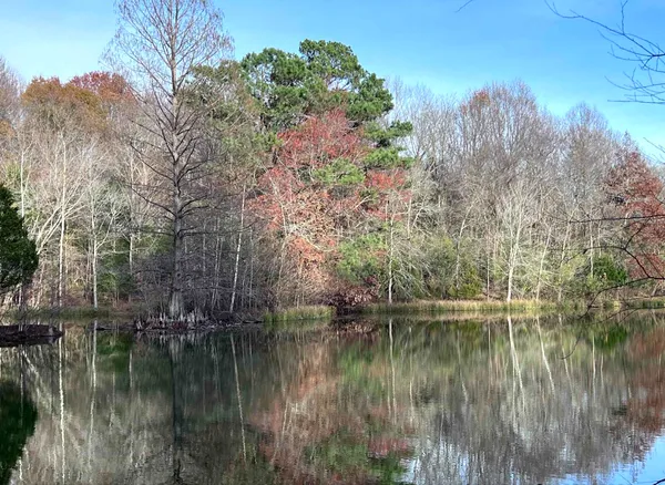 $450,000 | 88 Dakota Road, Carbondale, IL 62902