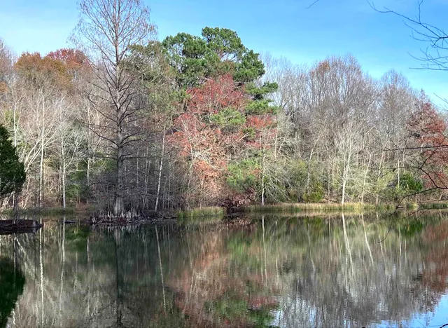 $450,000 | 88 Dakota Road, Carbondale, IL 62902