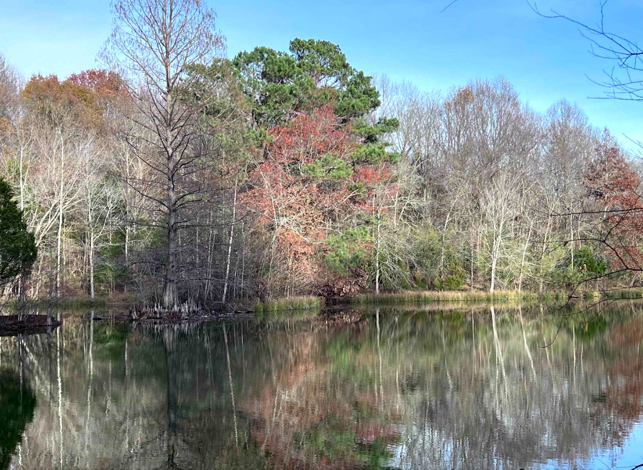 88 Dakota Road Carbondale, IL 62902 - Photo 59 of 59