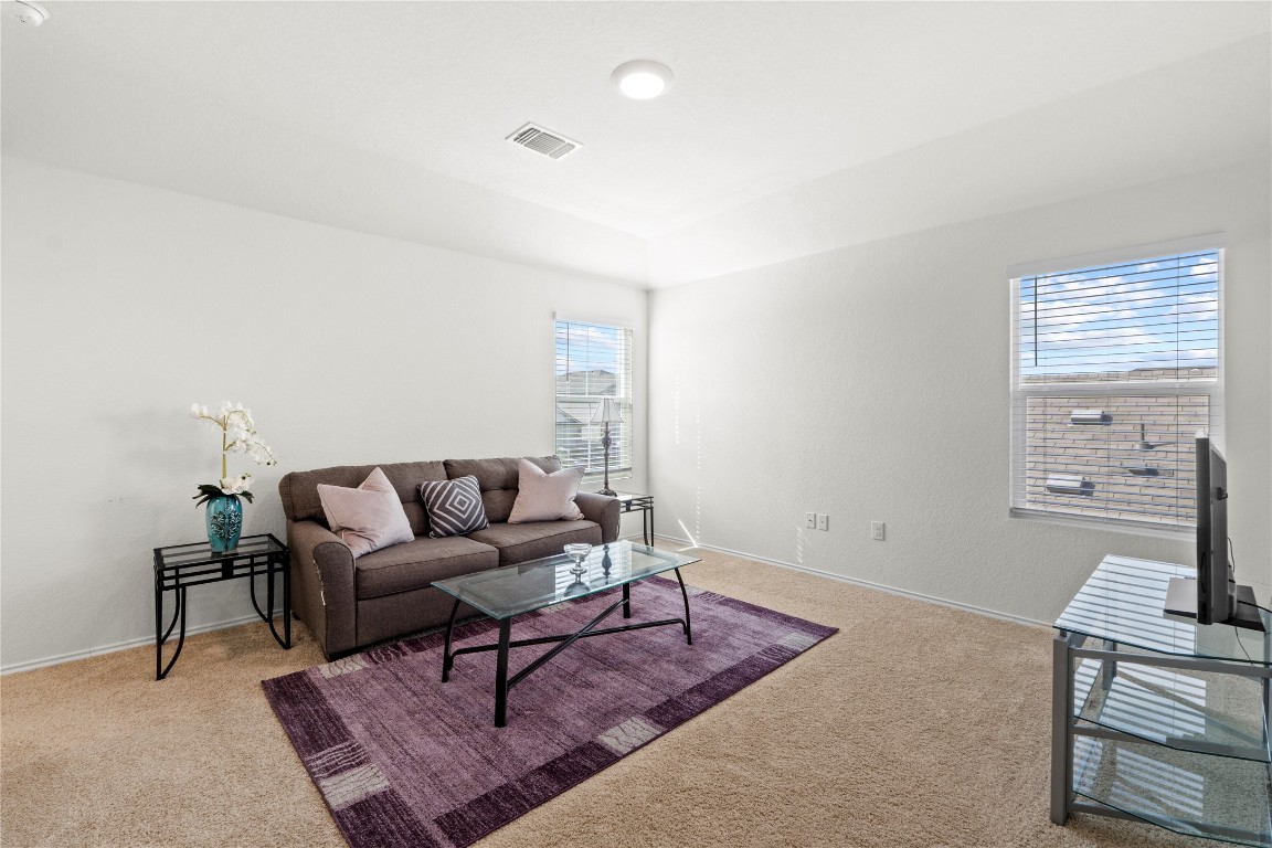 14806 Bajada Road Manor, TX 78653 - Photo 18 of 28 a living room with furniture a rug and a window