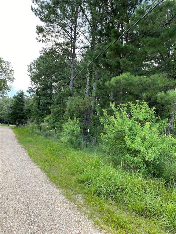 Lot 5 Coates Road Hammond, LA 70403 - Photo 17 of 20