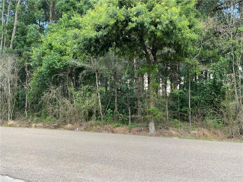 Lot 5 Coates Road Hammond, LA 70403 - Photo 2 of 20