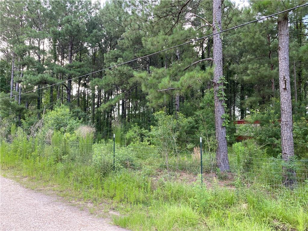 Lot 5 Coates Road Hammond, LA 70403 - Photo 7 of 20