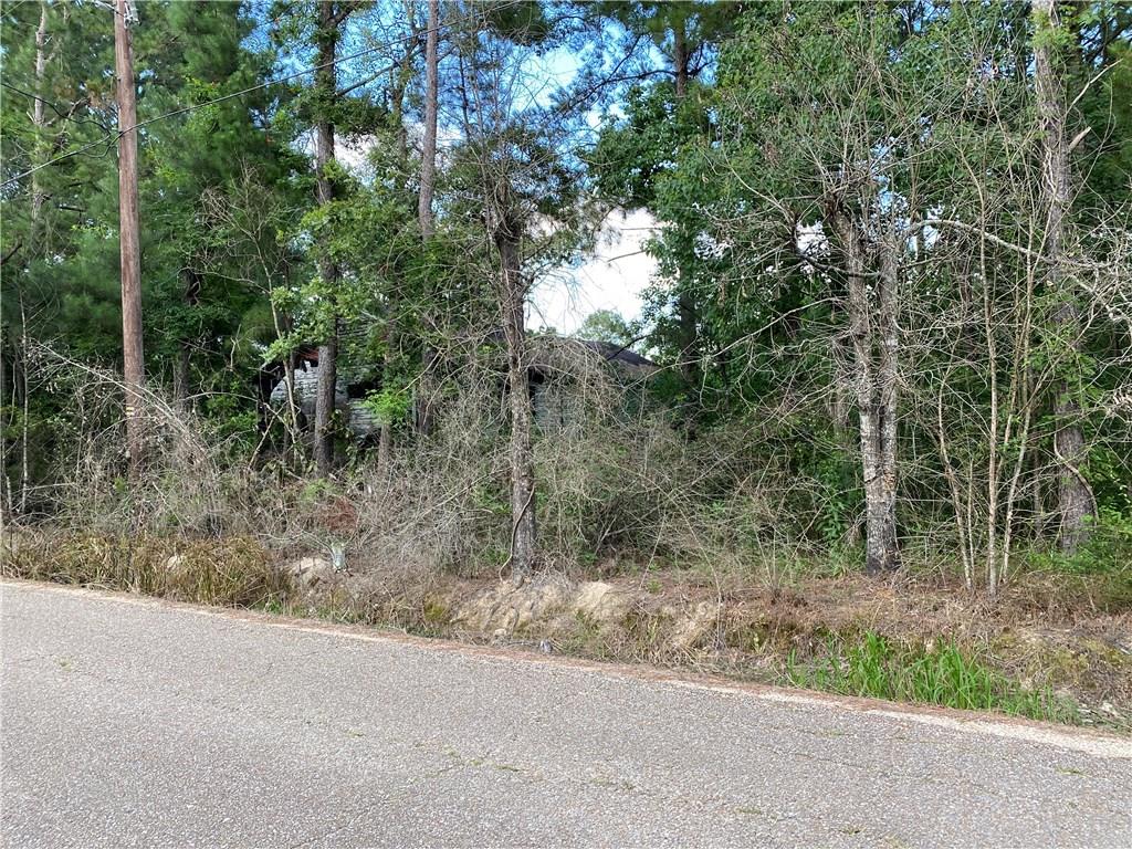 Lot 5 Coates Road Hammond, LA 70403 - Photo 8 of 20