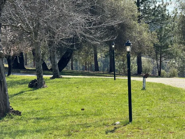 a view of a house with a yard and a large tree