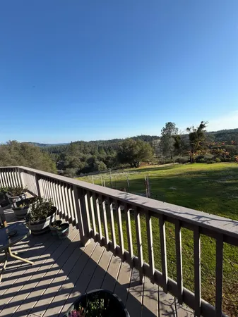 a view of a garden with an outdoor space
