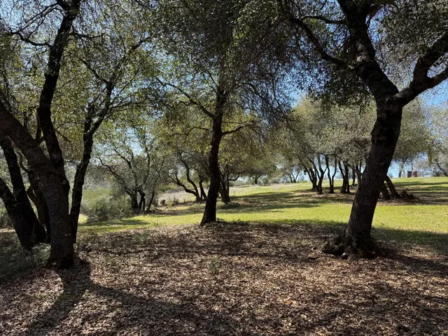 $1,179,000 | 1551 John Dear Road, Mokelumne Hill, CA 95248