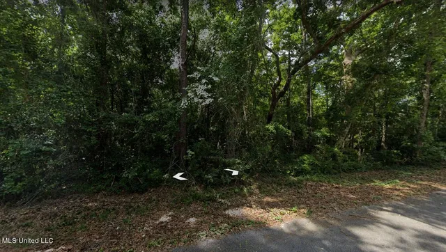 $7,900 | Lot 198 Tuna Road, Gautier, MS 39553