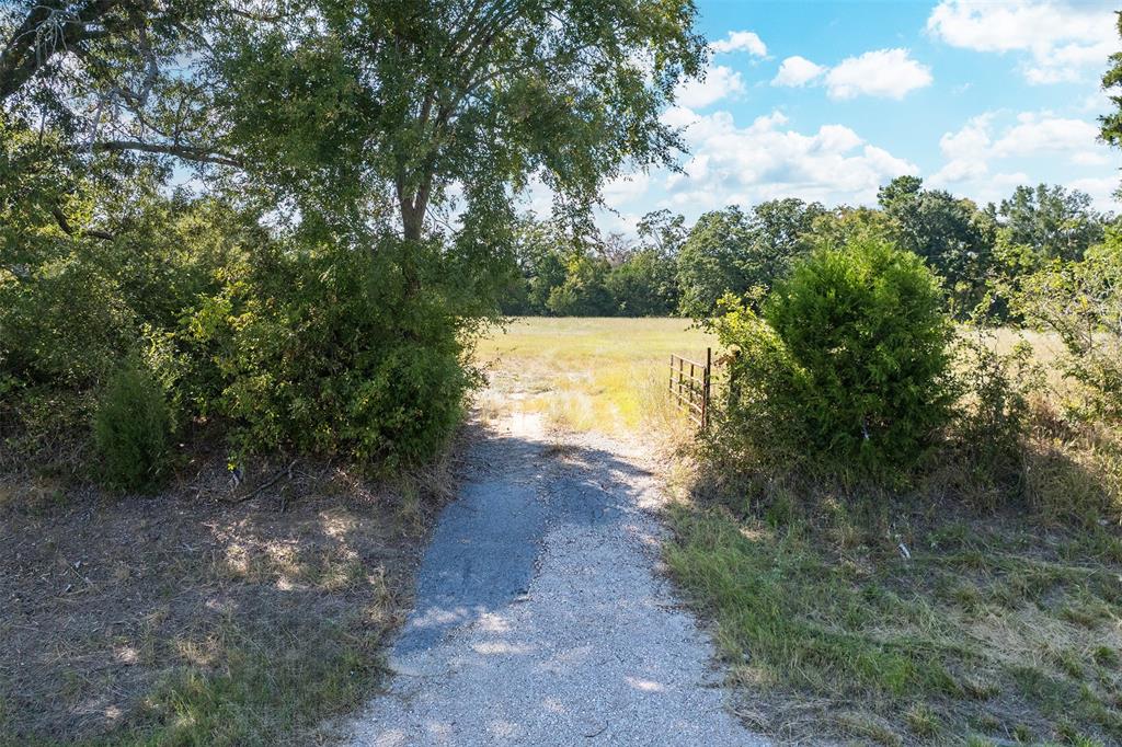 0 St Highway Athens, TX 75752 - Photo 11 of 12 a view of a yard with trees