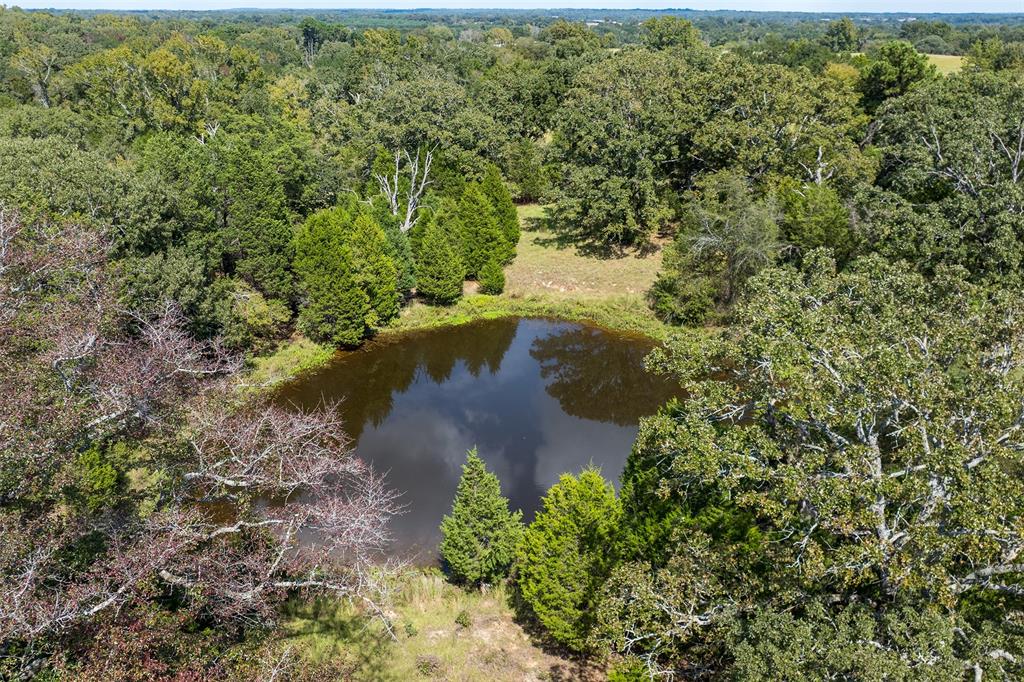 0 St Highway Athens, TX 75752 - Photo 7 of 12 a view of a lake with top of house