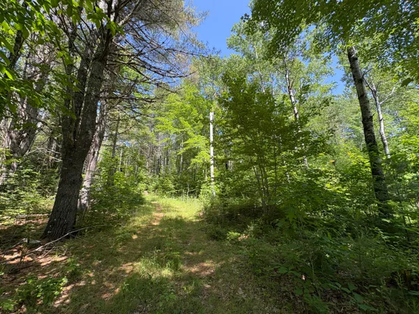$65,000 | Off Andrews Road, Wytopitlock, ME 04497