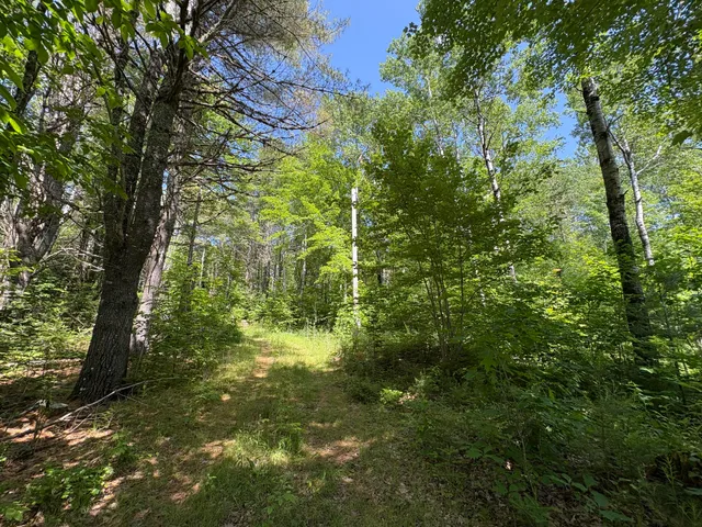 $65,000 | Off Andrews Road, Wytopitlock, ME 04497