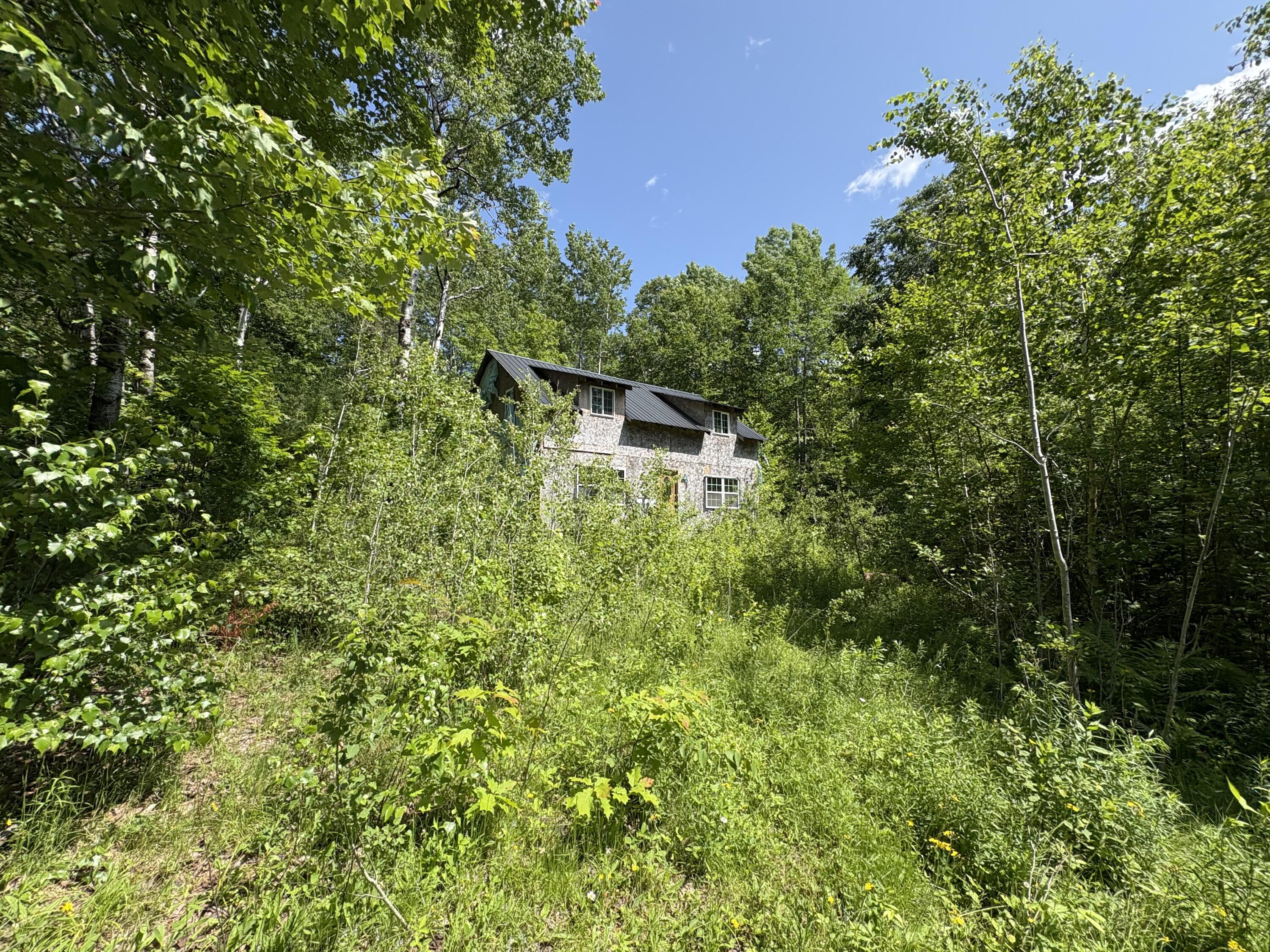 Off Andrews Road Wytopitlock, ME 04497 - Photo 29 of 42 IMG_2252