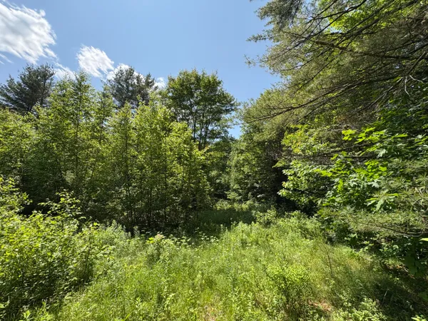 $65,000 | Off Andrews Road, Wytopitlock, ME 04497
