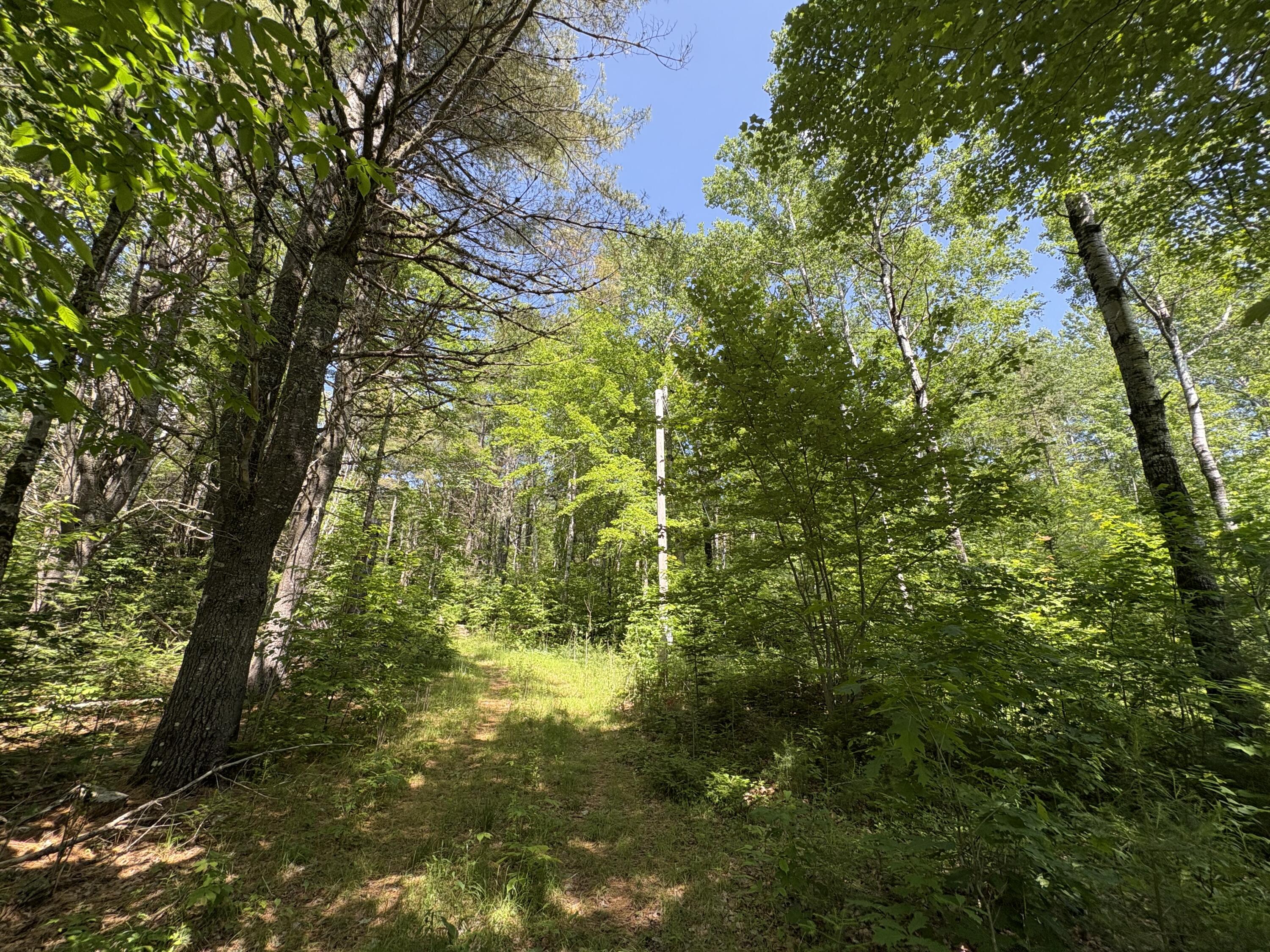 Off Andrews Road Wytopitlock, ME 04497 - Photo 31 of 42 IMG_2268