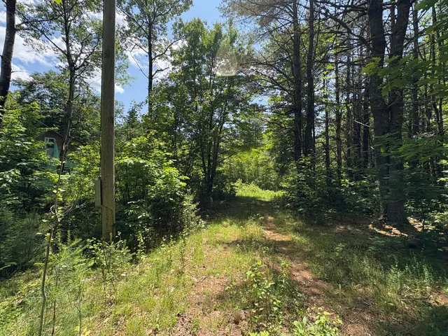 $65,000 | Off Andrews Road, Wytopitlock, ME 04497