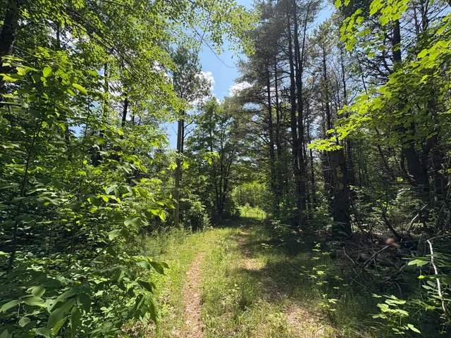 $65,000 | Off Andrews Road, Wytopitlock, ME 04497