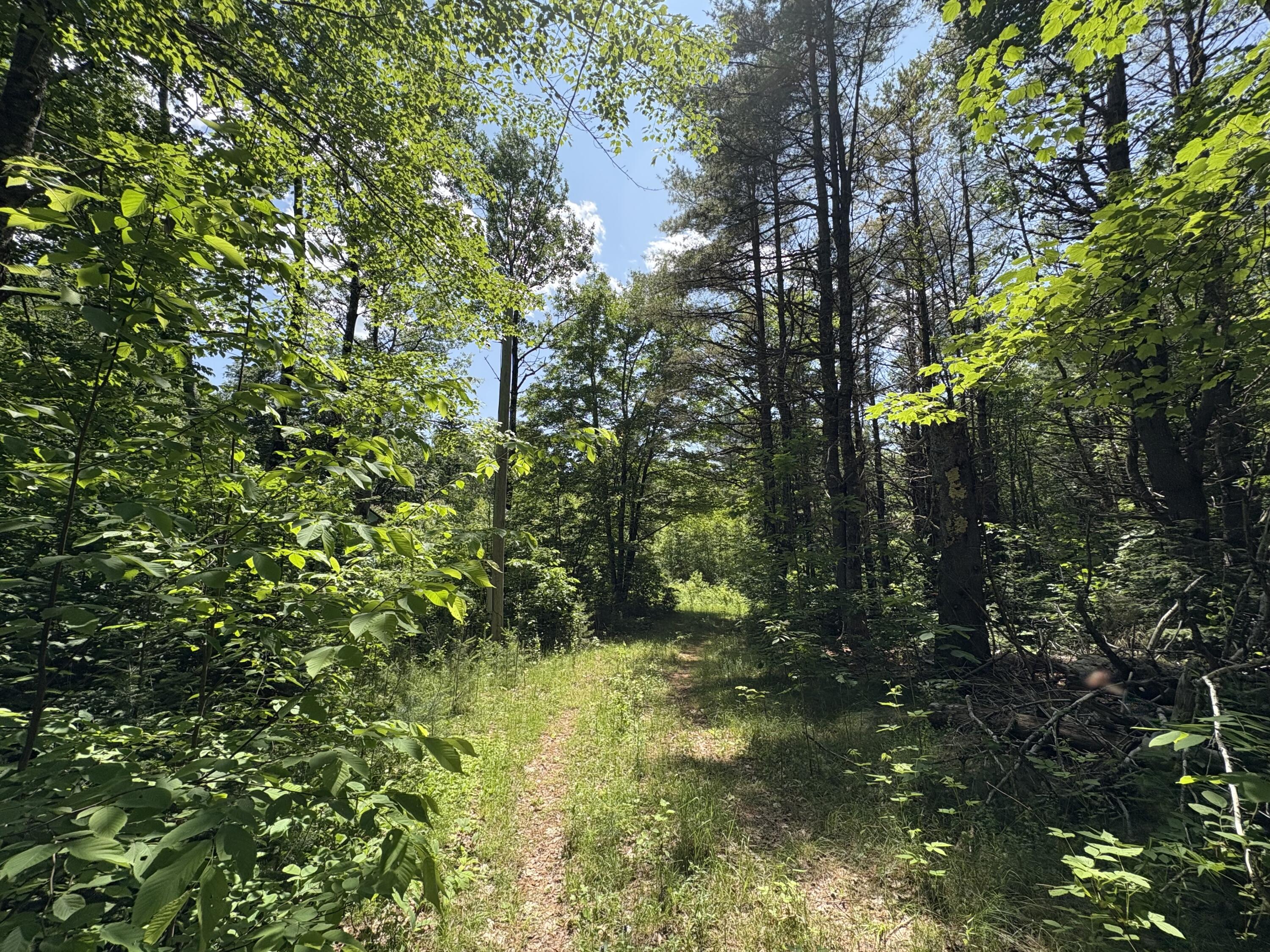 Off Andrews Road Wytopitlock, ME 04497 - Photo 33 of 42 IMG_2241