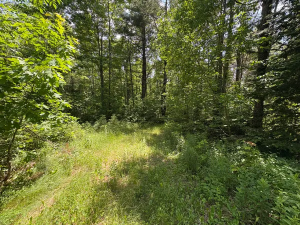 $65,000 | Off Andrews Road, Wytopitlock, ME 04497