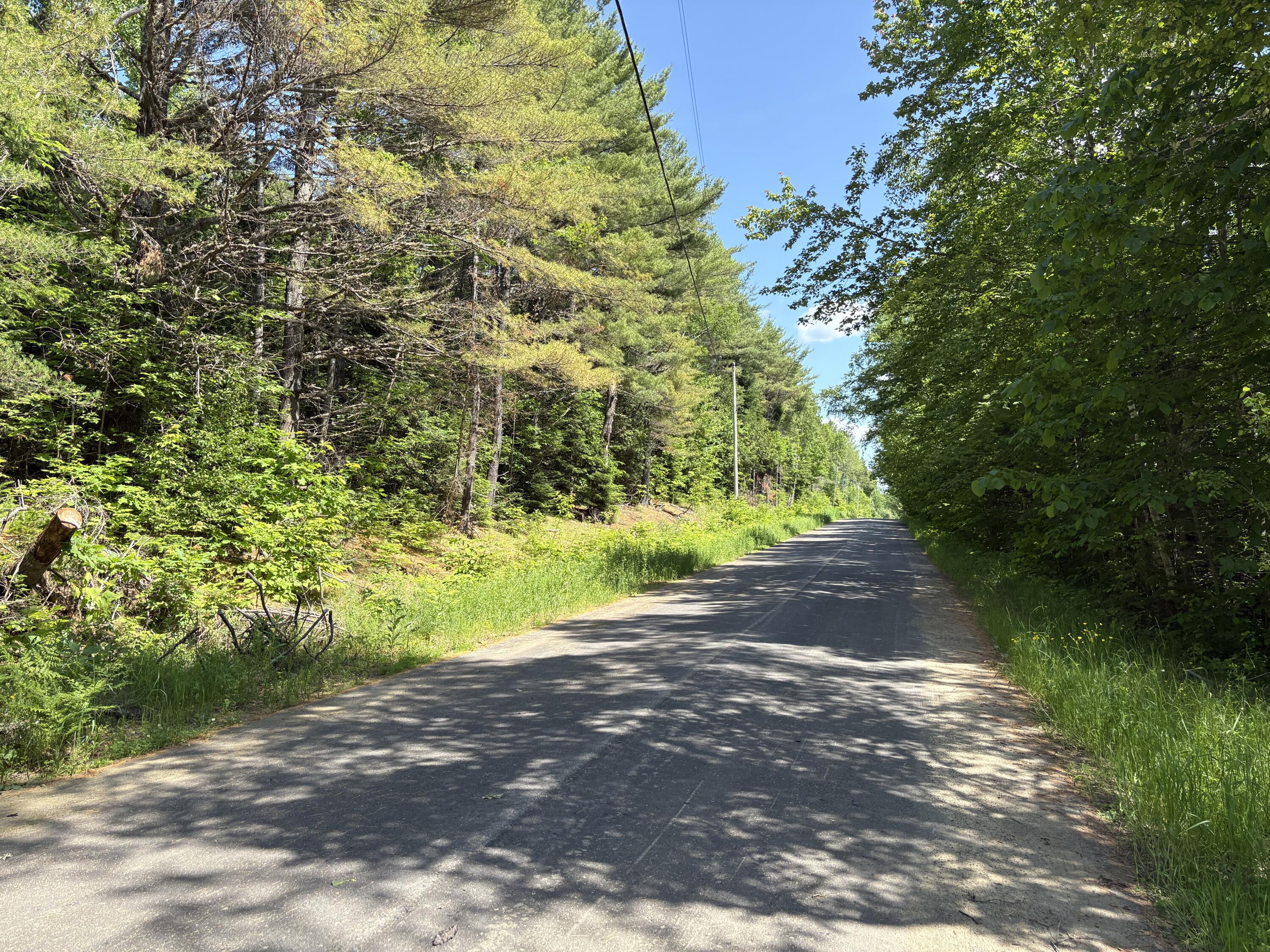 Off Andrews Road Wytopitlock, ME 04497 - Photo 35 of 42 IMG_2235