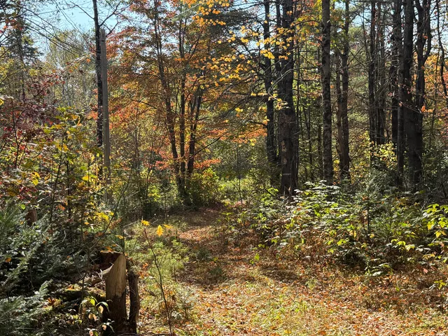 $65,000 | Off Andrews Road, Wytopitlock, ME 04497