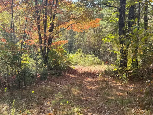 $65,000 | Off Andrews Road, Wytopitlock, ME 04497